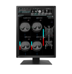 EIZO RadiForce MX217