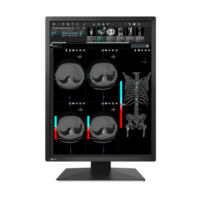 EIZO RadiForce MX217